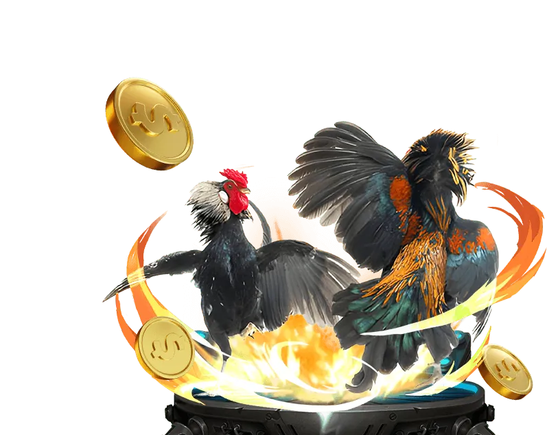 Sân đá gà trực tuyến tại hello88 tải app